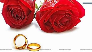 Image result for Red Roses and Wedding Rings