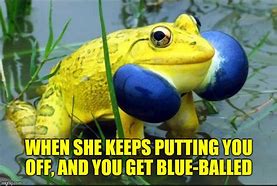 Image result for Martincitopants Frog Meme