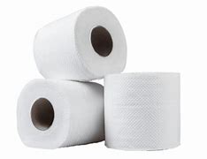 Image result for Double Roll Toilet Tissue Dispenser
