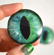 Image result for Cat Eye Glass