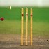 Image result for Wicket Stumps