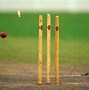 Image result for Cricket Bat and Wickets