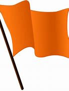 Image result for Orange Pin Flags