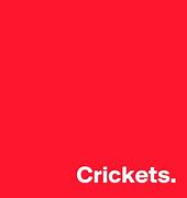 Image result for Crickets Under House