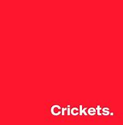 Image result for Silent Crickets