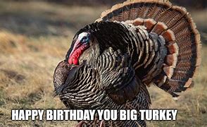 Image result for Turkey Birthday Meme