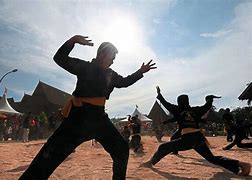 Image result for Martial Arts Styles List Malaysia