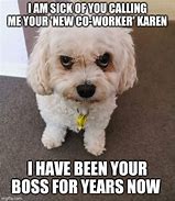 Image result for New Co-Worker Meme