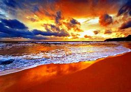 Image result for Beach Themed Wallpaper