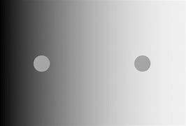 Image result for Simultaneous Contrast Illusion