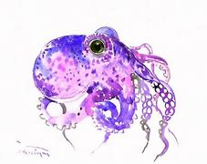 Image result for Octopus Watercolor