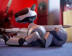 Image result for Black Aibo