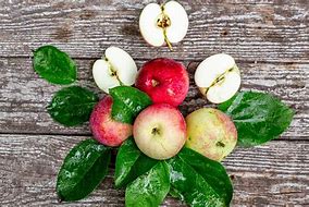 Image result for Red Apple with Leaf
