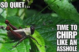 Image result for Quiet as Crickets Meme