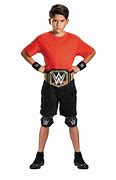 Image result for WWE Costume Belt