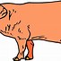Image result for Old Pig Cartoon