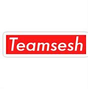 Image result for TeamSESH Logo