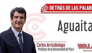 Image result for aguaitar
