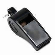 Image result for Referee Whistle with Pool in Background
