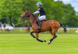 Image result for Polo Team