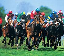 Image result for horse race history