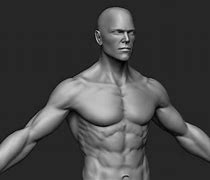Image result for Male V 3D Model