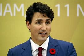 Image result for Justin Trudeau India Dress