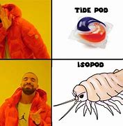 Image result for Isopod Meme