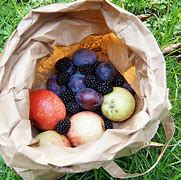 Image result for Fruit Bag