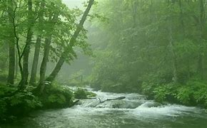 Image result for Animated River