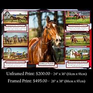 Image result for Framous Racing Prints