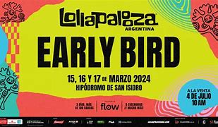 Image result for Lollapalooza Background