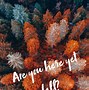 Image result for Aesthetic Pinterest Autumn Desktop Wallpaper