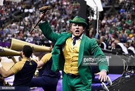 Image result for Notre Dame Football Mascot