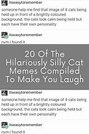 Image result for Wholesome Cat Memes to Make You Laugh