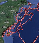 Image result for Great White Shark Locations