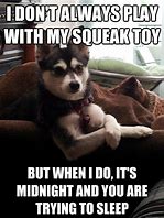 Image result for Dog Toy Meme