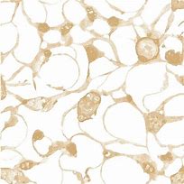 Image result for Kelly Hoppen Floral Gold Wallpaper