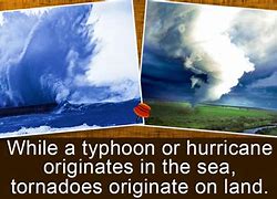 Image result for Cyclone Tornado Hurricane Typhoon Difference