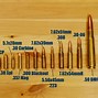 Image result for 410 4 Shot Actual Size