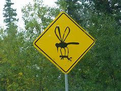 Image result for Funny Street Signs