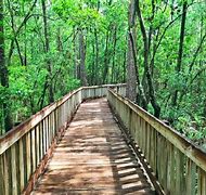 Image result for City Parks in Orlando