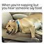 Image result for Dog in Food Memes