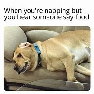 Image result for Dog Memes About Food