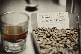Image result for hacienda la esmeralda coffee
