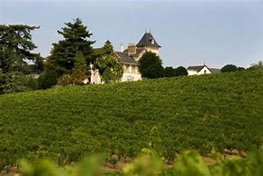 Image result for Soucherie Anjou Rouge
