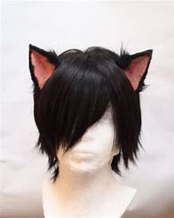 Image result for Black Cat Ears