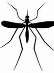 Image result for Mosquito Catcher PNG