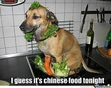 Image result for Funny Dog Food Memes