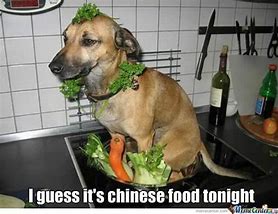Image result for Canned Dog Food Meme